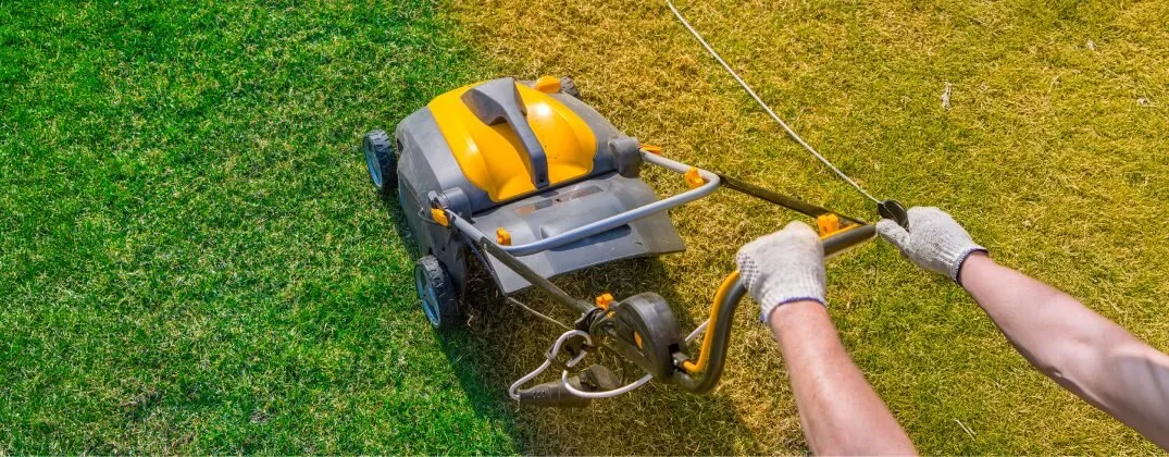 Zdjęcie Kiedy wertykulacja trawnika? Idealny termin i praktyczny poradnik
