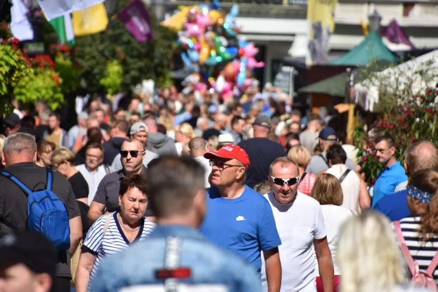 Zdjęcie Kiedy winobranie w Zielonej Górze? Poznaj daty i atrakcje festiwalu