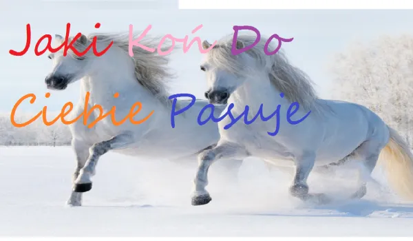Zdjęcie Jak wybrać idealnego konia dla siebie? Porady i kryteria dopasowania