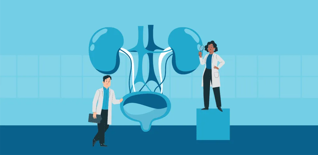 Por&oacute;wnanie objaw&oacute;w urologicznych i nefrologicznych grafika