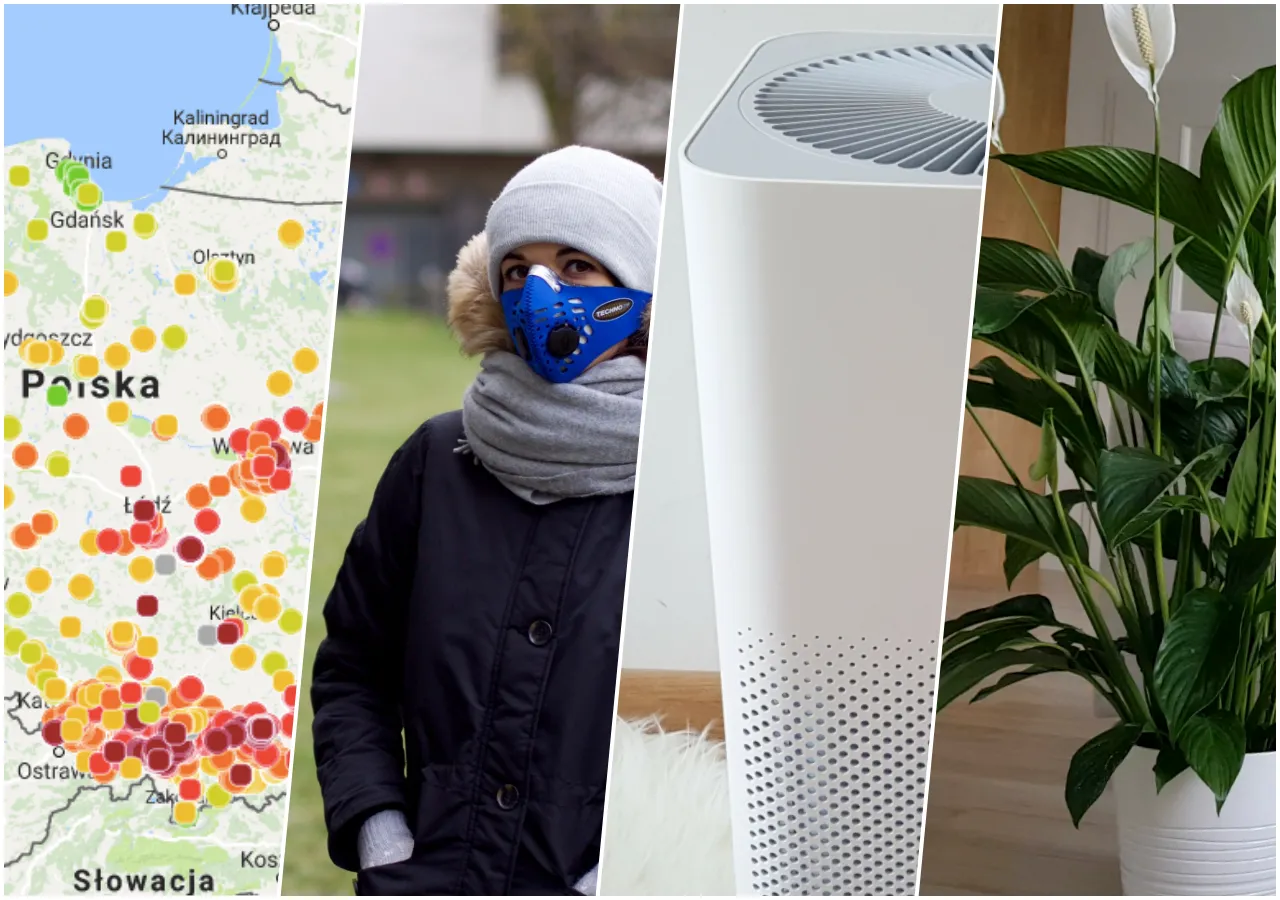 Mapa jakości powietrza w Polsce pokazuje, jaki smog dzisiaj w Warszawie. Kobieta w masce ochronnej, oczyszczacz powietrza i skrzydłokwiat.