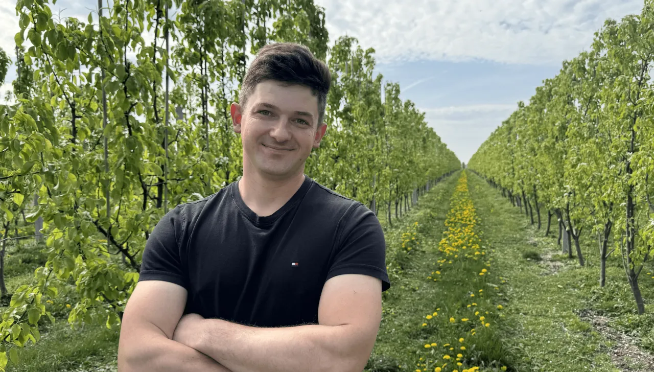 Uśmiechnięty mężczyzna stoi w rzędzie młodych drzewek w sadzie gruszowym. W tle widać alejkę obsianą żółtymi kwiatami.