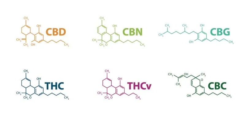 syntetyczne kannabinoidy struktura chemiczna
