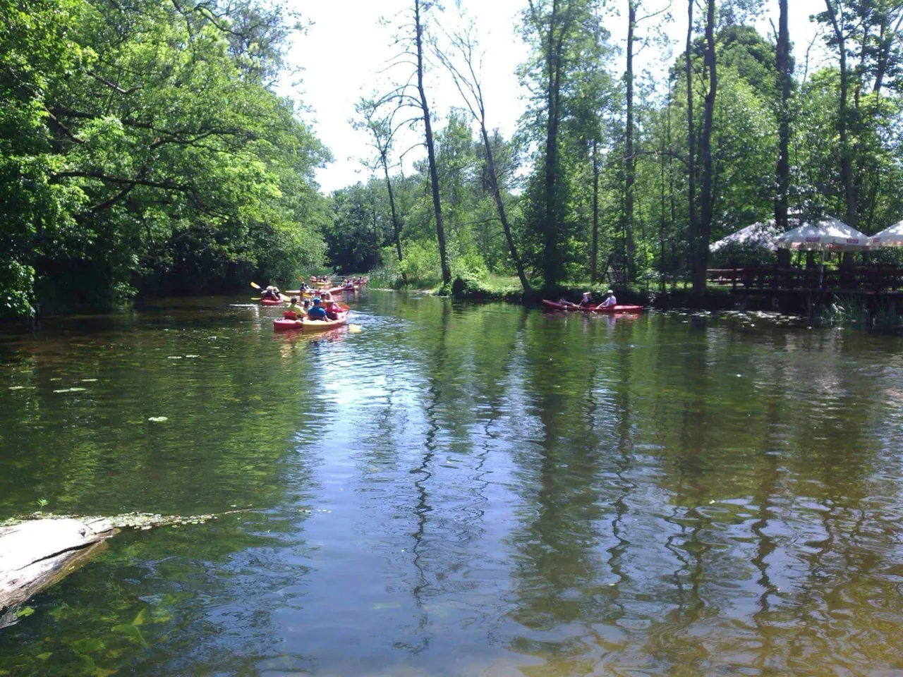 kajaki rzeka Rospuda