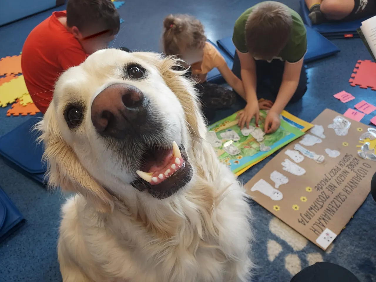 Dziecko z autyzmem terapia ze zwierzętami