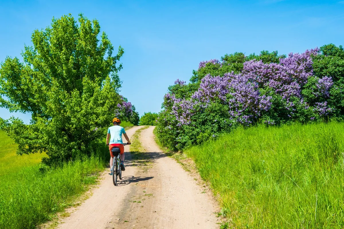 Rowerzyści nad jeziorem Wigry klasztor