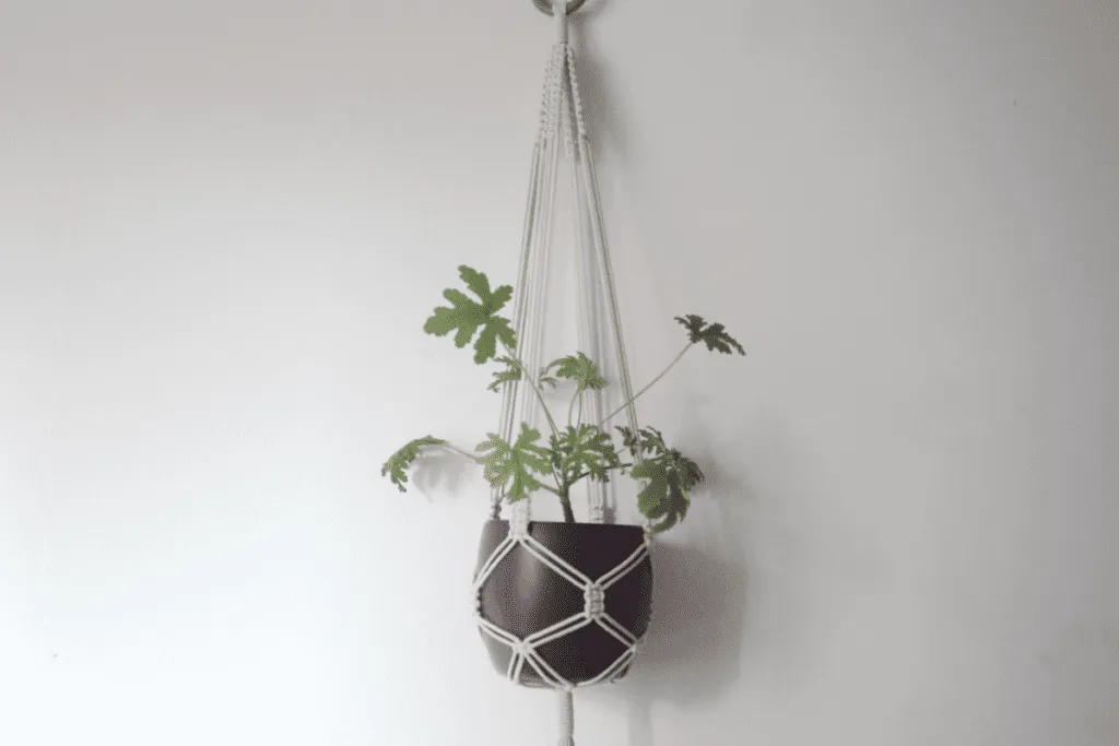 kwietnik makrama wiszący r&oacute;żne wzory