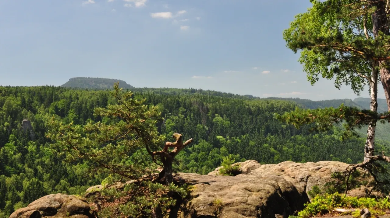 Radkowskie Skały widok