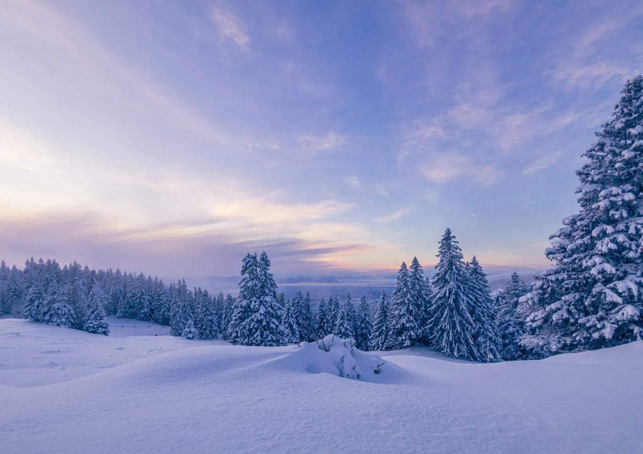 verschneite Winterlandschaft