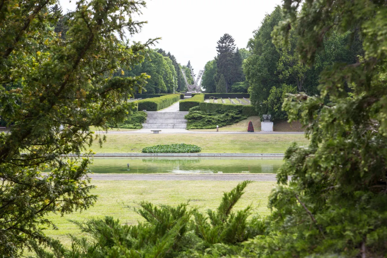 Cmentarz Centralny Szczecin ścieżka botaniczna egzotyczne drzewa