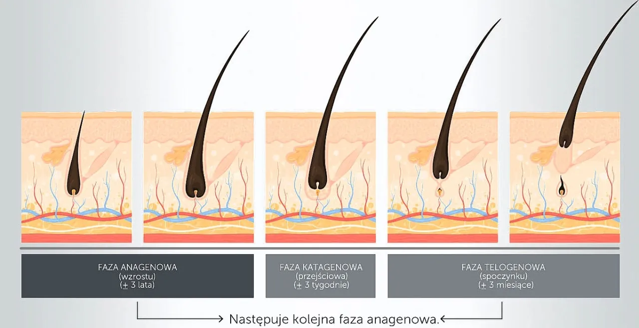 depilacja woskiem długość włosów schemat