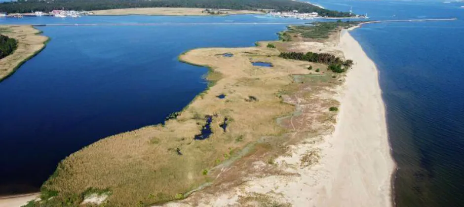 Wyspa Sobieszewska rezerwaty ptak&oacute;w, Gdańsk