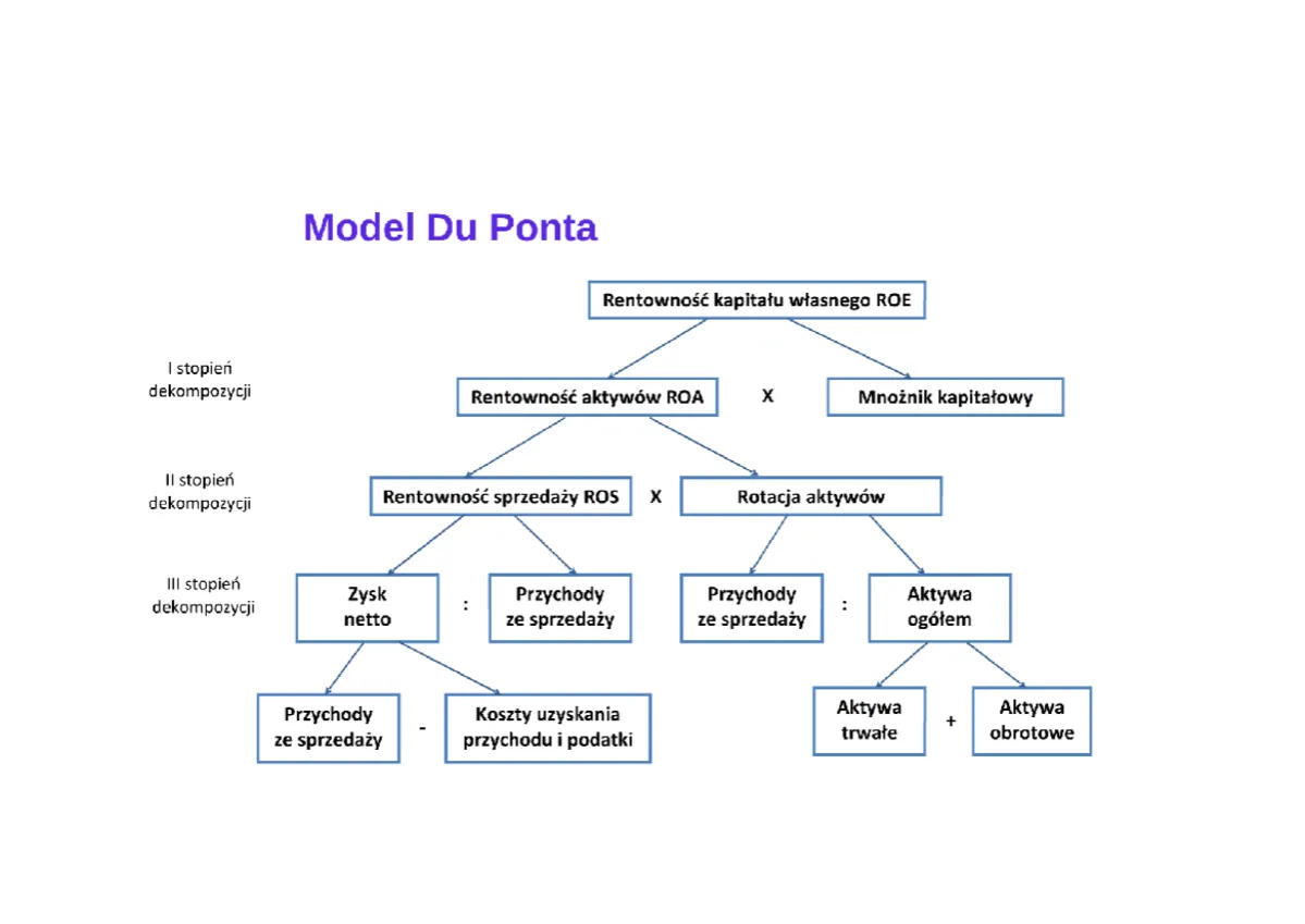 Model Du Ponta wz&oacute;r grafika