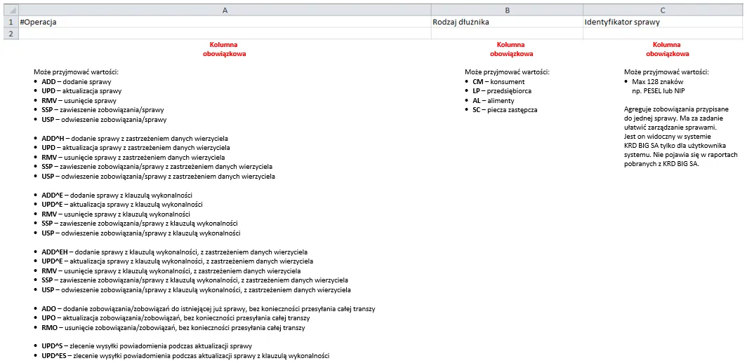 panel KRD wprowadzanie danych dłużnika