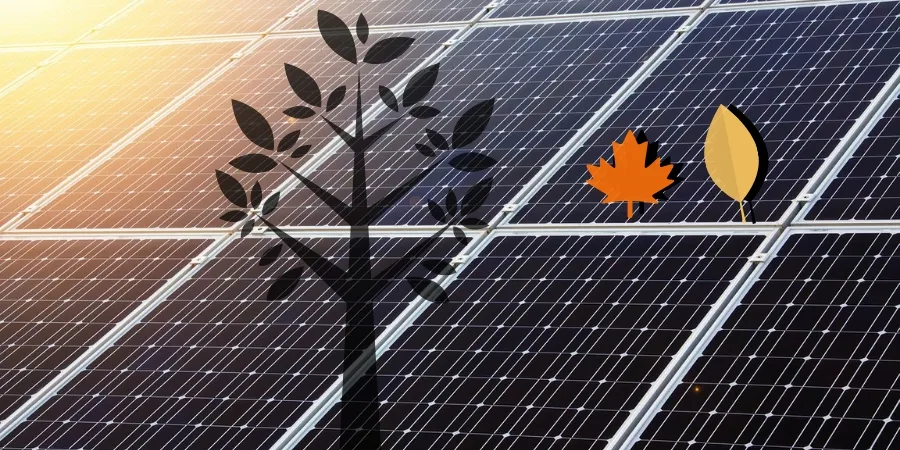 Zacienienie paneli fotowoltaicznych wpływ na wydajność