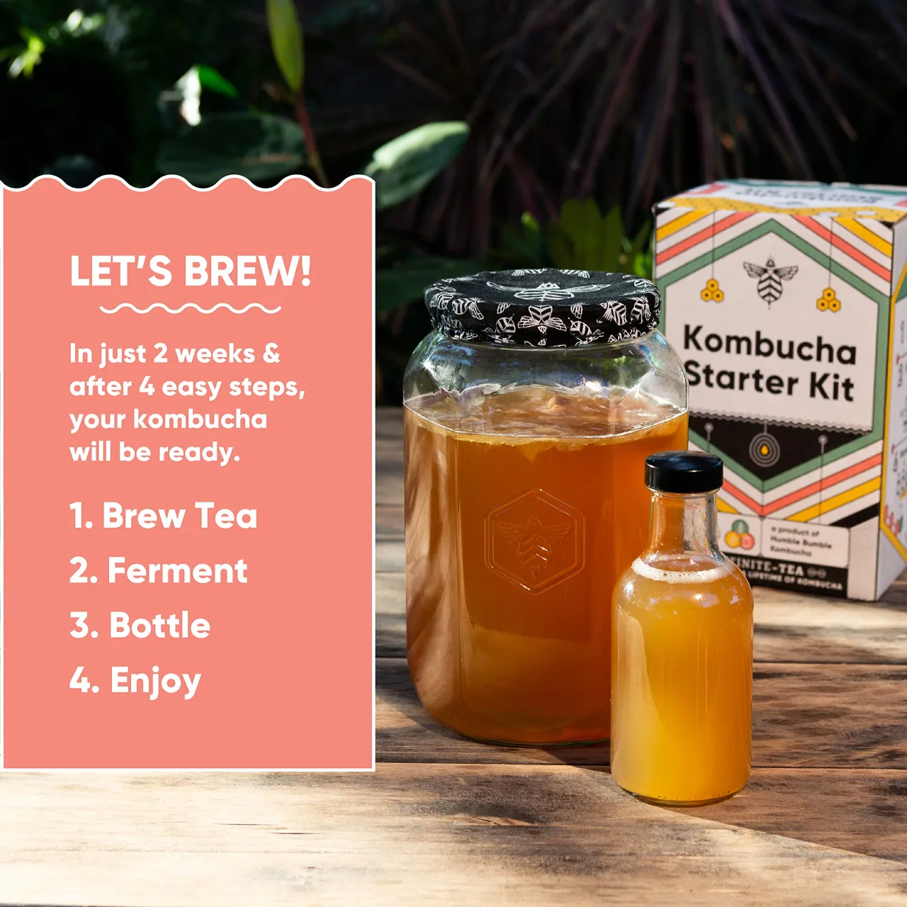zestaw startowy kombucha cena