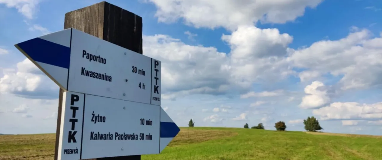 znak niebieskiego szlaku turystycznego PTTK