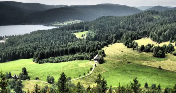 Schwarzwaldhochstraße widoki