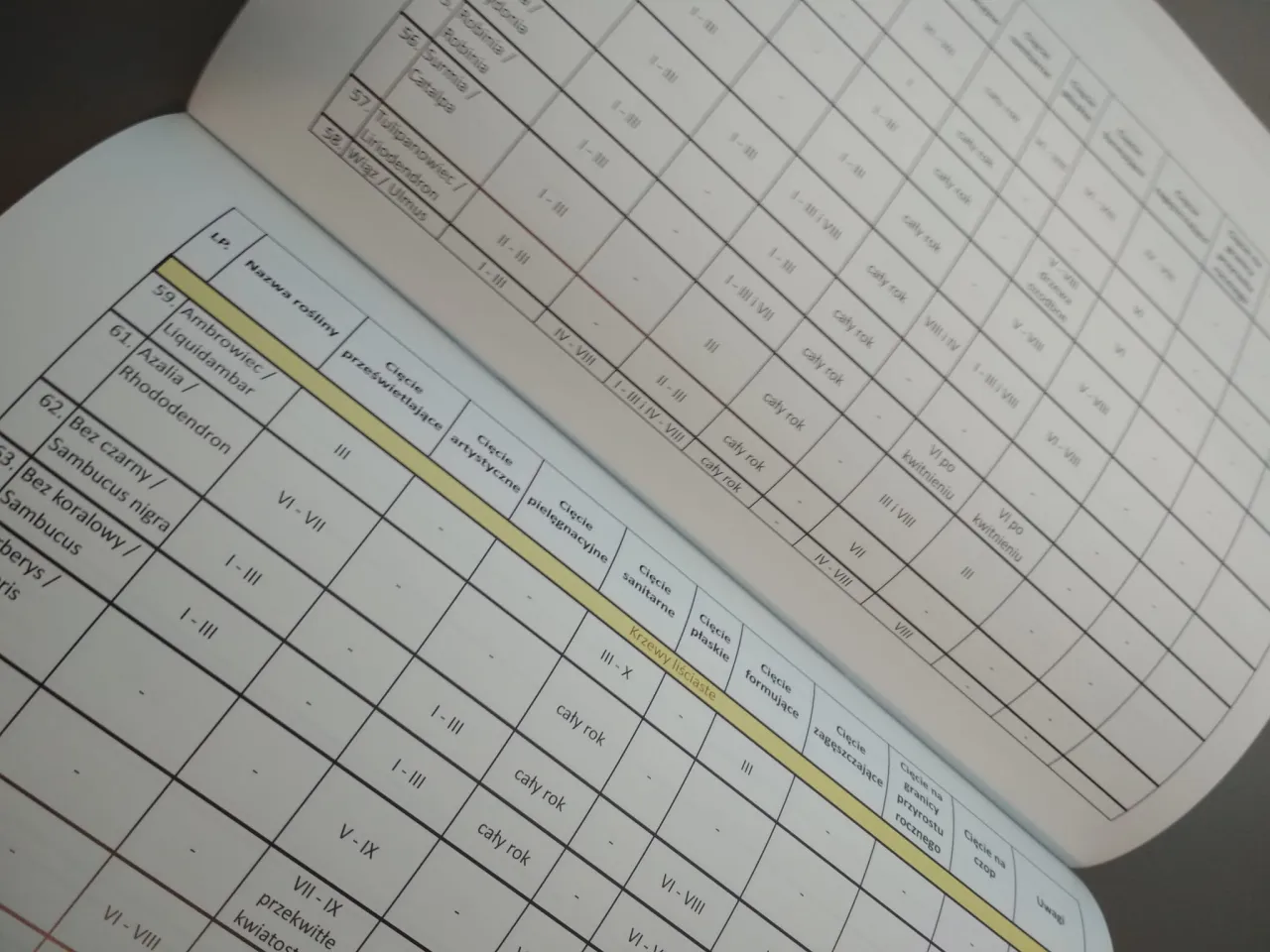 kalendarz przycinania drzew owocowych