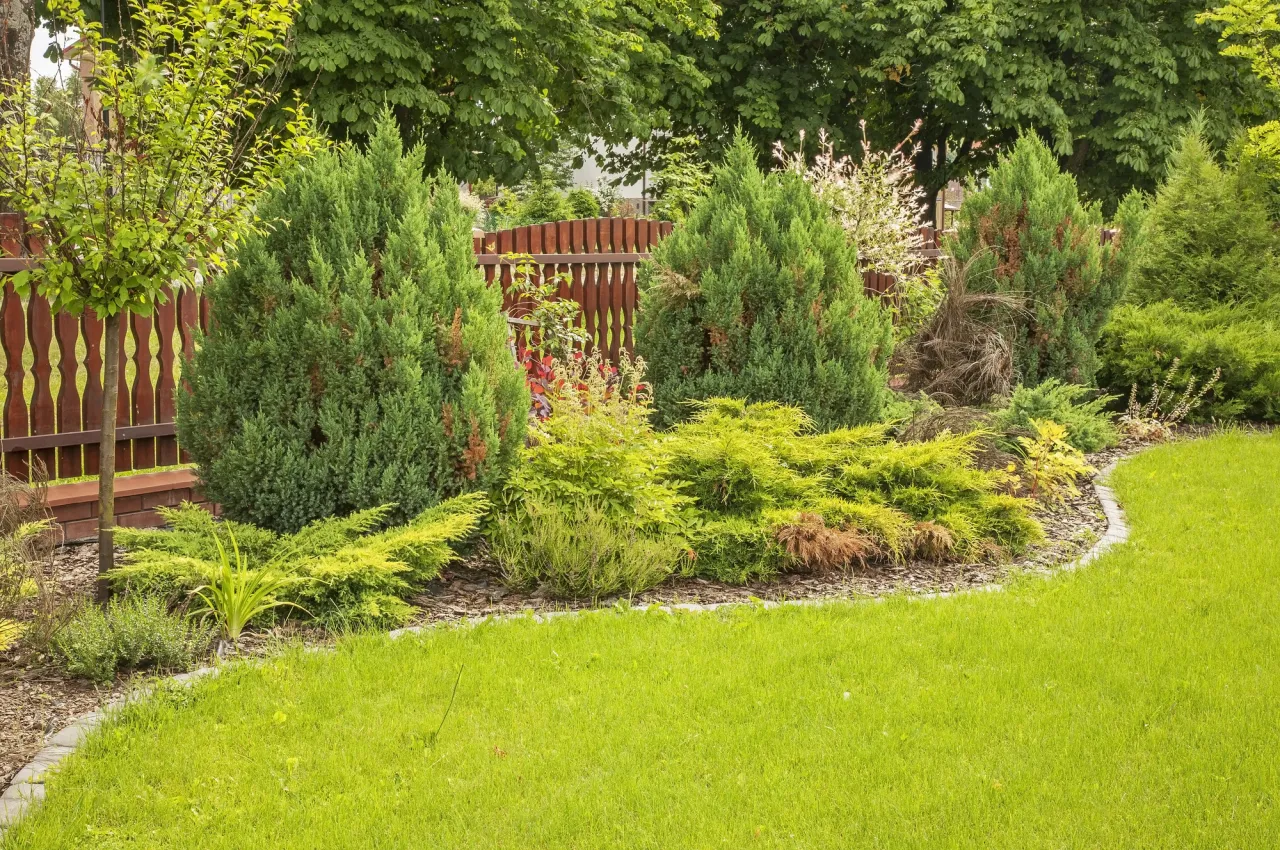 Przepisy sadzenie roślin od granicy działki