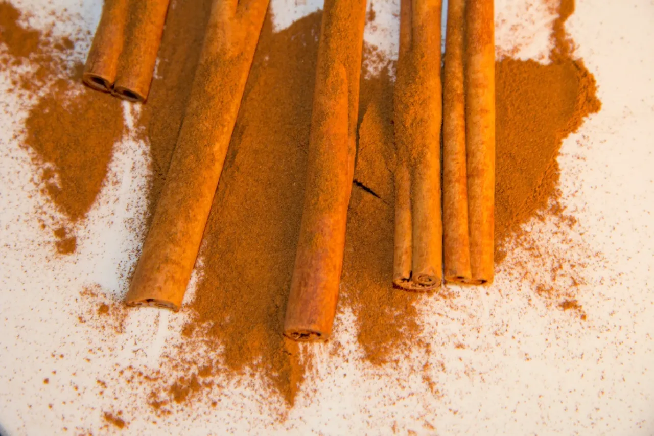 cynamon w ogrodzie ślimaki