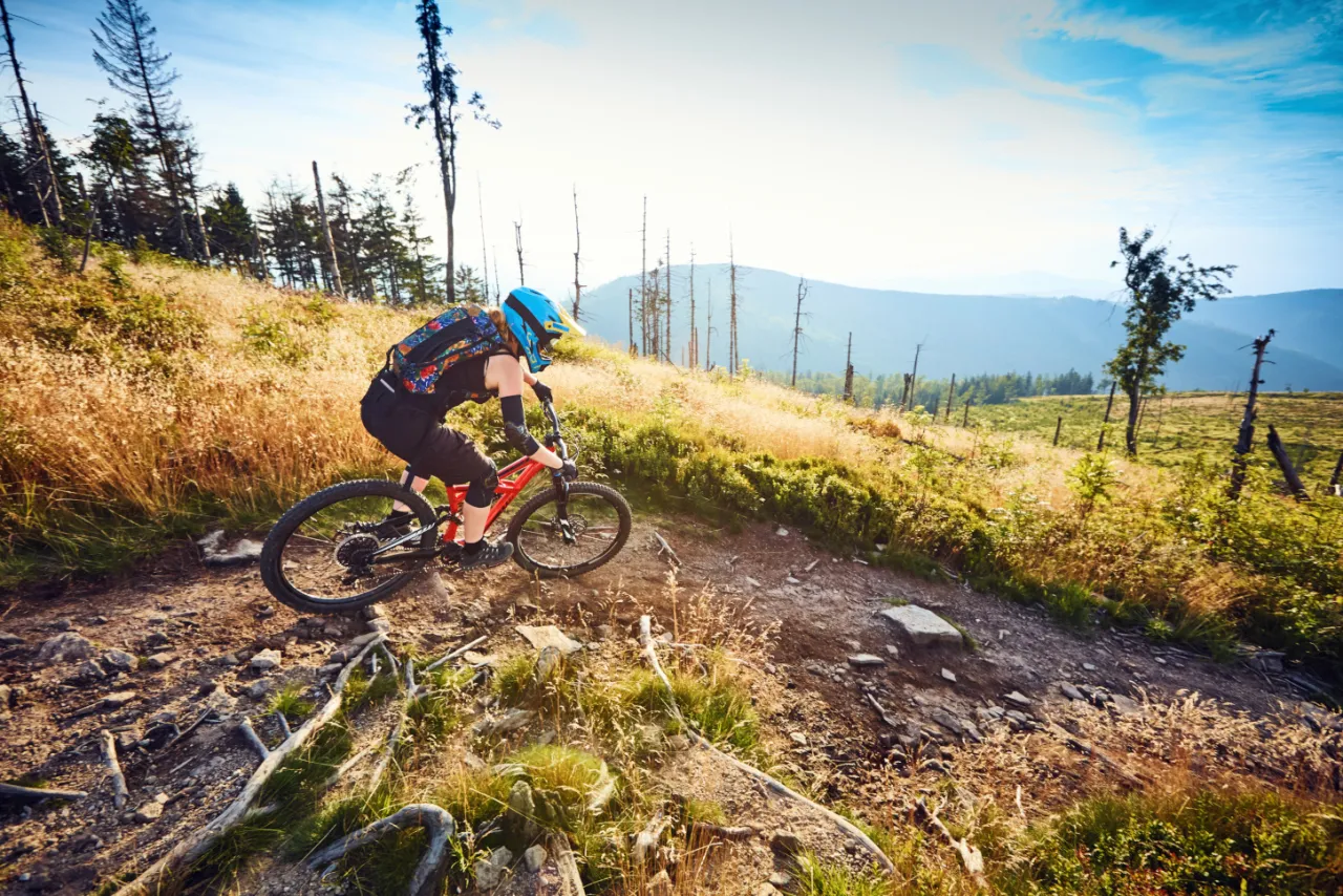 Single Track Świerad&oacute;w-Zdr&oacute;j rower