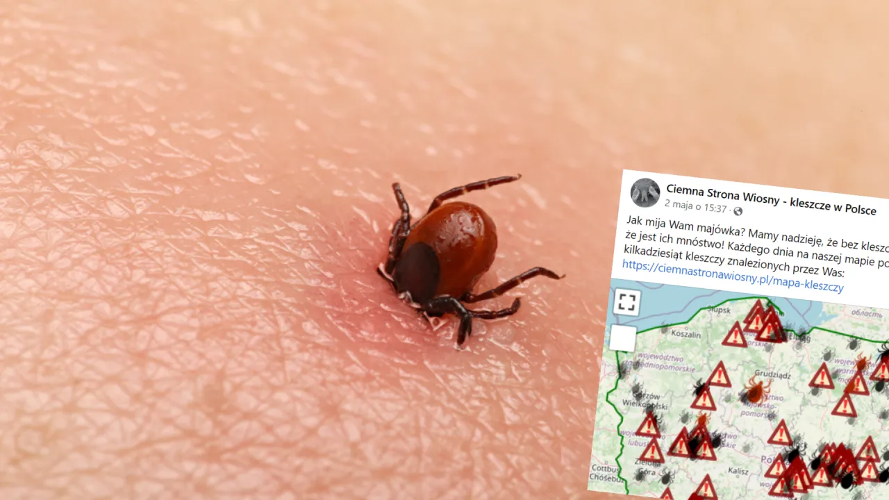 Mapa siedlisk kleszczy w Polsce