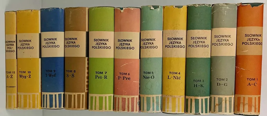 Słownik Doroszewskiego 11 tom&oacute;w na p&oacute;łce