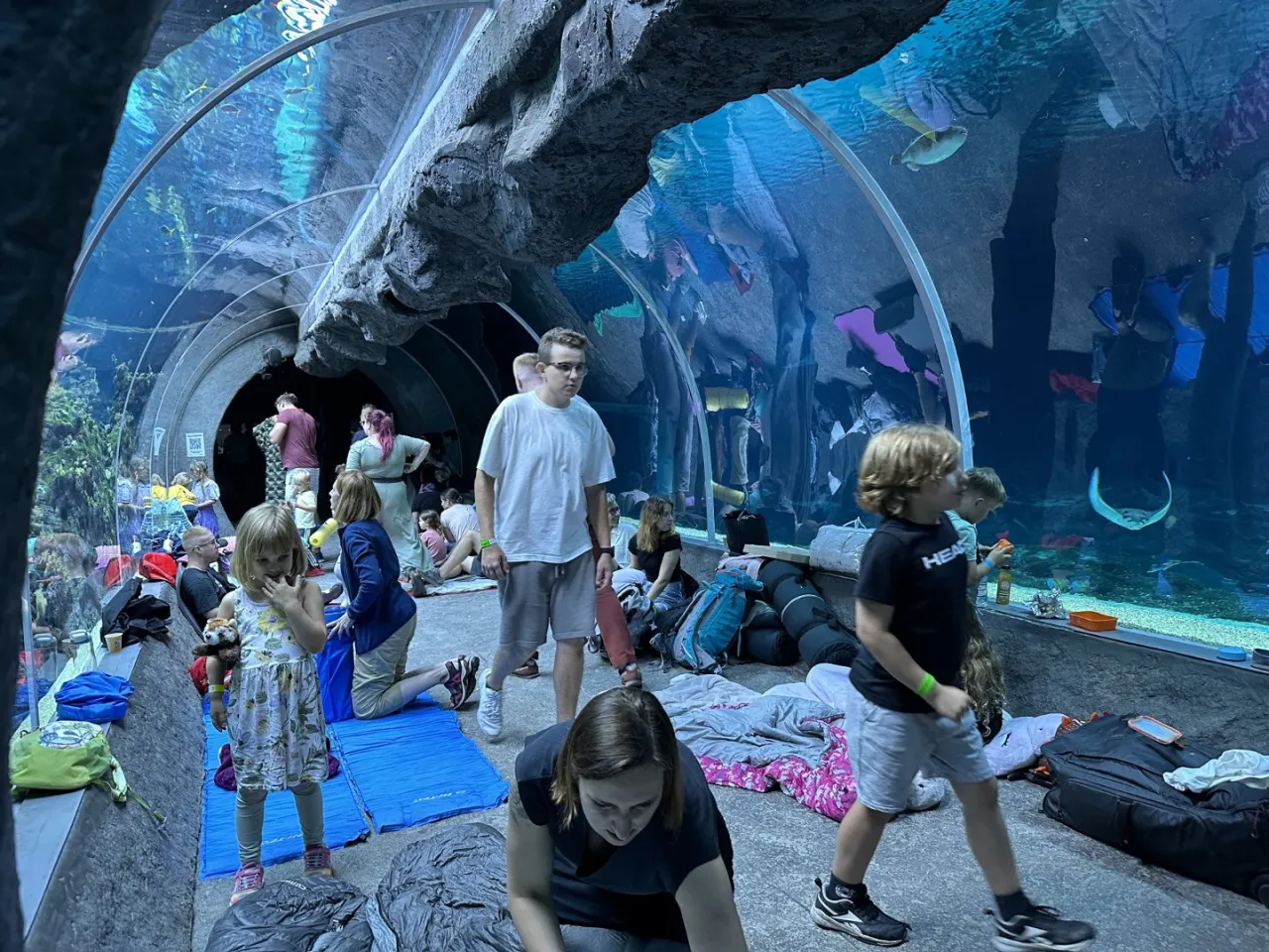 orientarium zoo łódź rodzina