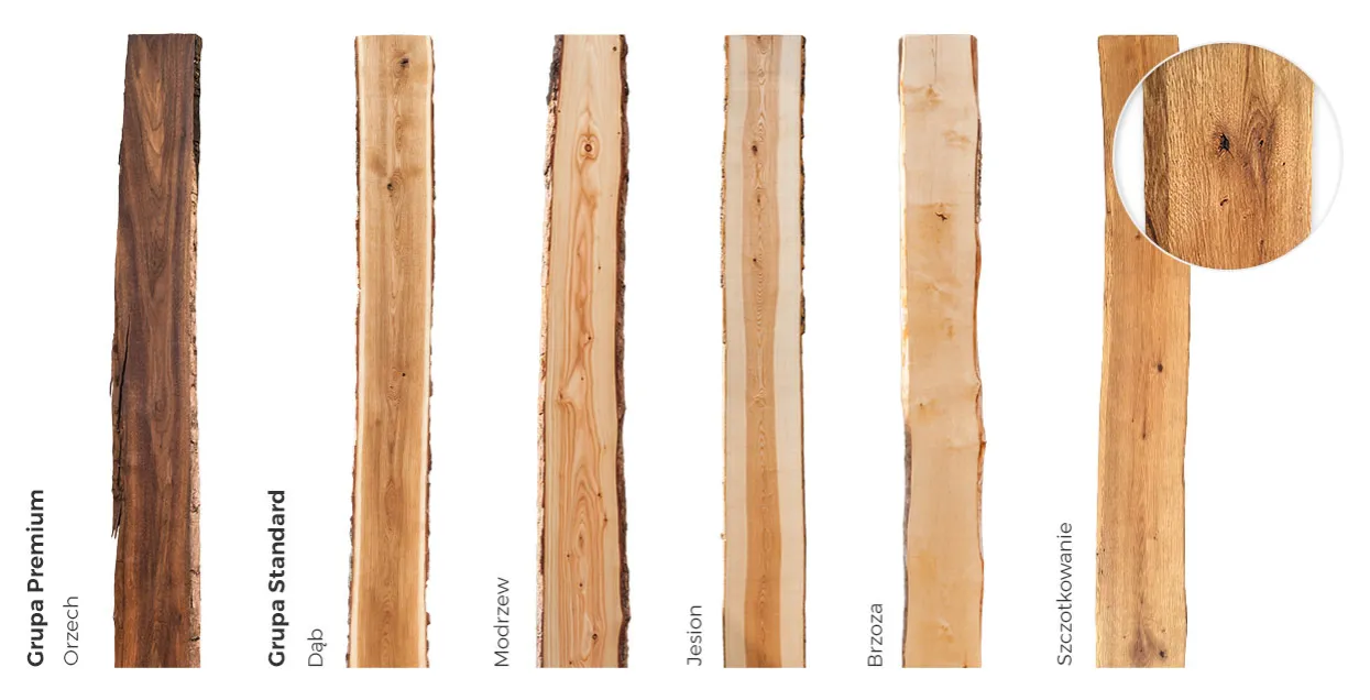r&oacute;żne gatunki drewna na st&oacute;ł