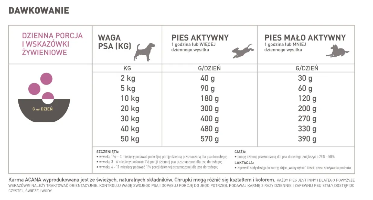 rozmiary ps&oacute;w i porcje jedzenia