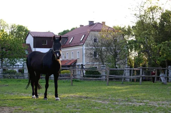 Ślężański Młyn stadnina konie jazda konna