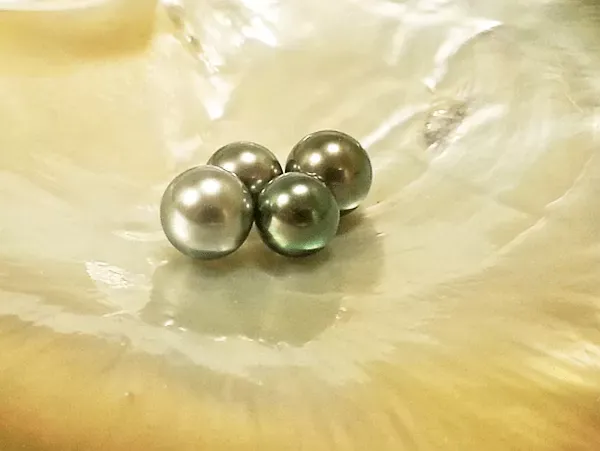 czynniki wpływające na jakość pereł infografika