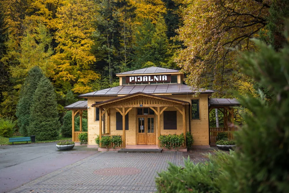 Ryman&oacute;w-Zdr&oacute;j Park Zdrojowy pijalnia w&oacute;d