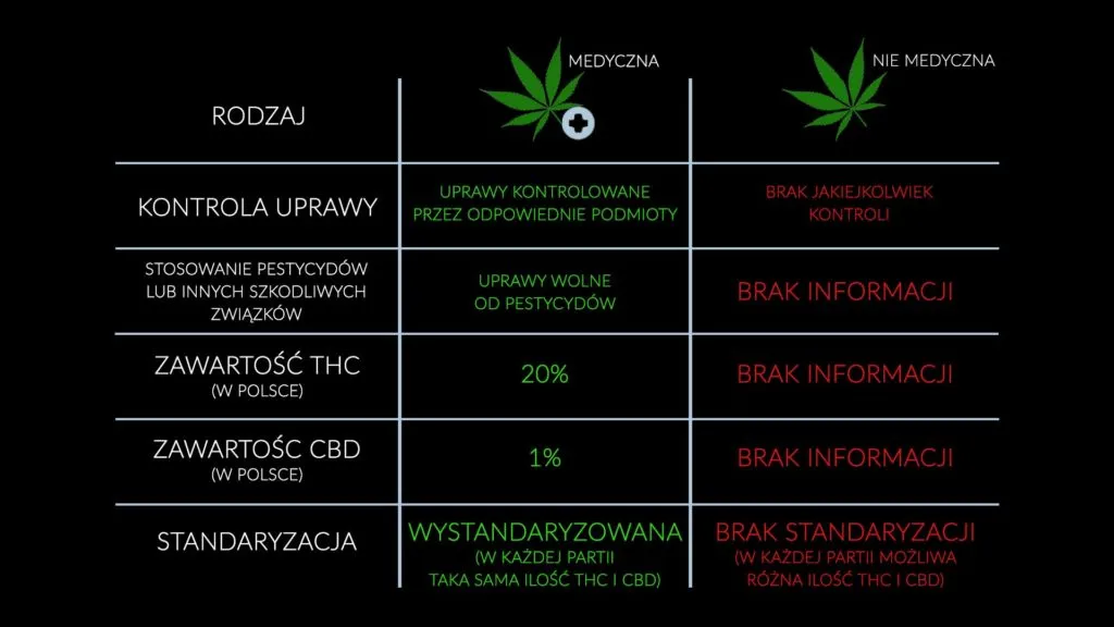 r&oacute;żnice między THC i CBD w medycznej marihuanie infografika