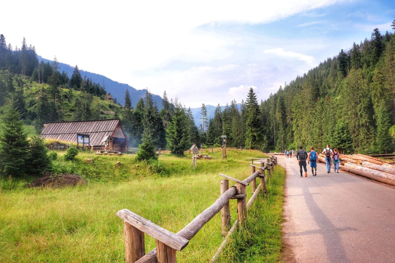Bac&oacute;wka w Dolinie Chochołowskiej Siwa Polana