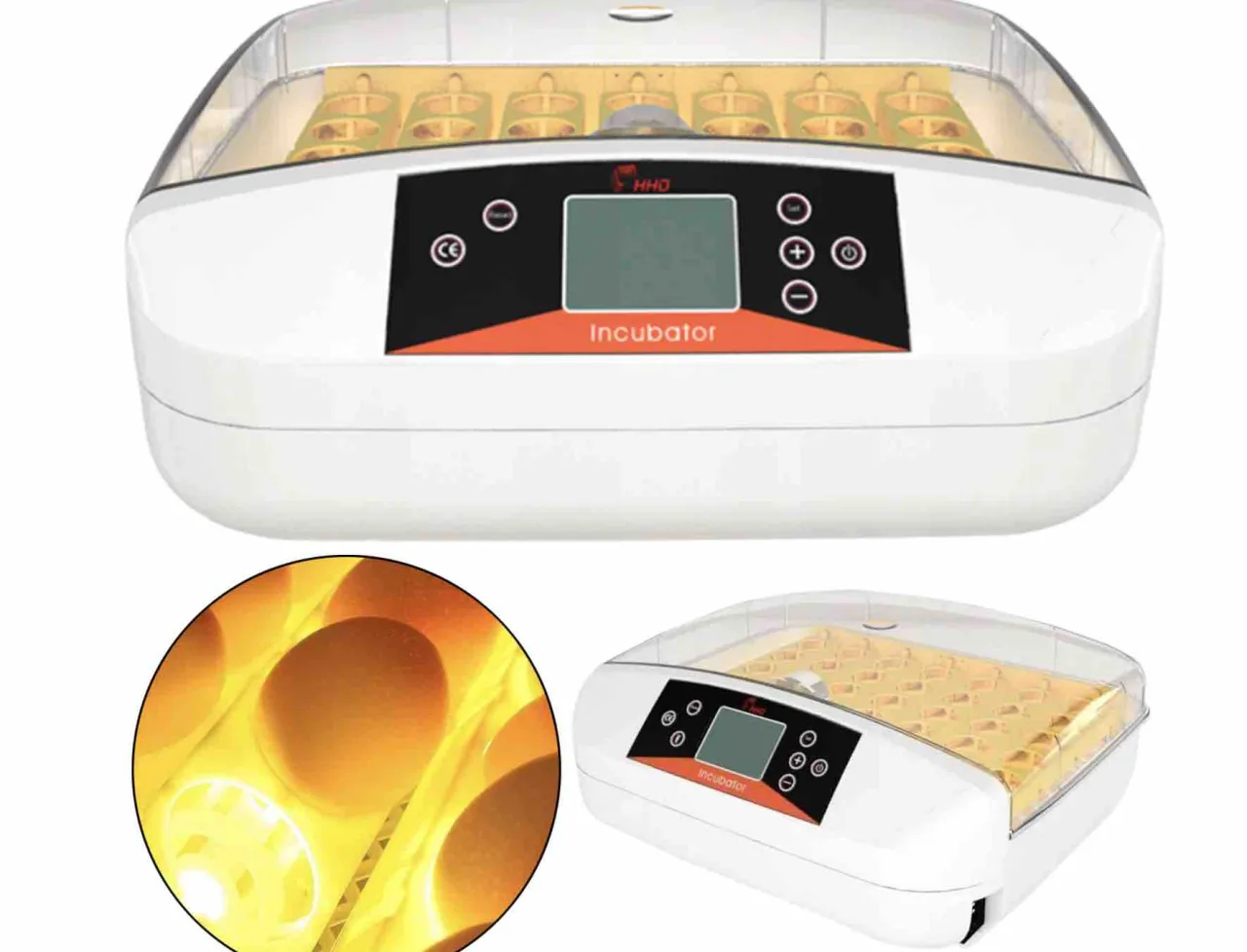 Automatyczna inkubacja jaj kurzych. Cyfrowy panel sterowania pozwala precyzyjnie ustawić temperaturę inkubacji jaj kurzych.