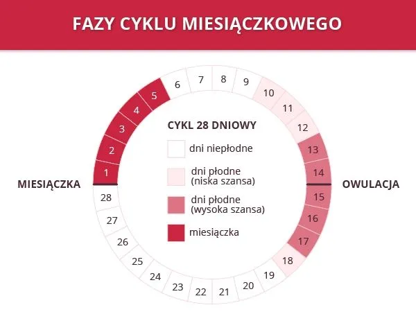 kobieta mierząca czas trwania okresu kalendarz