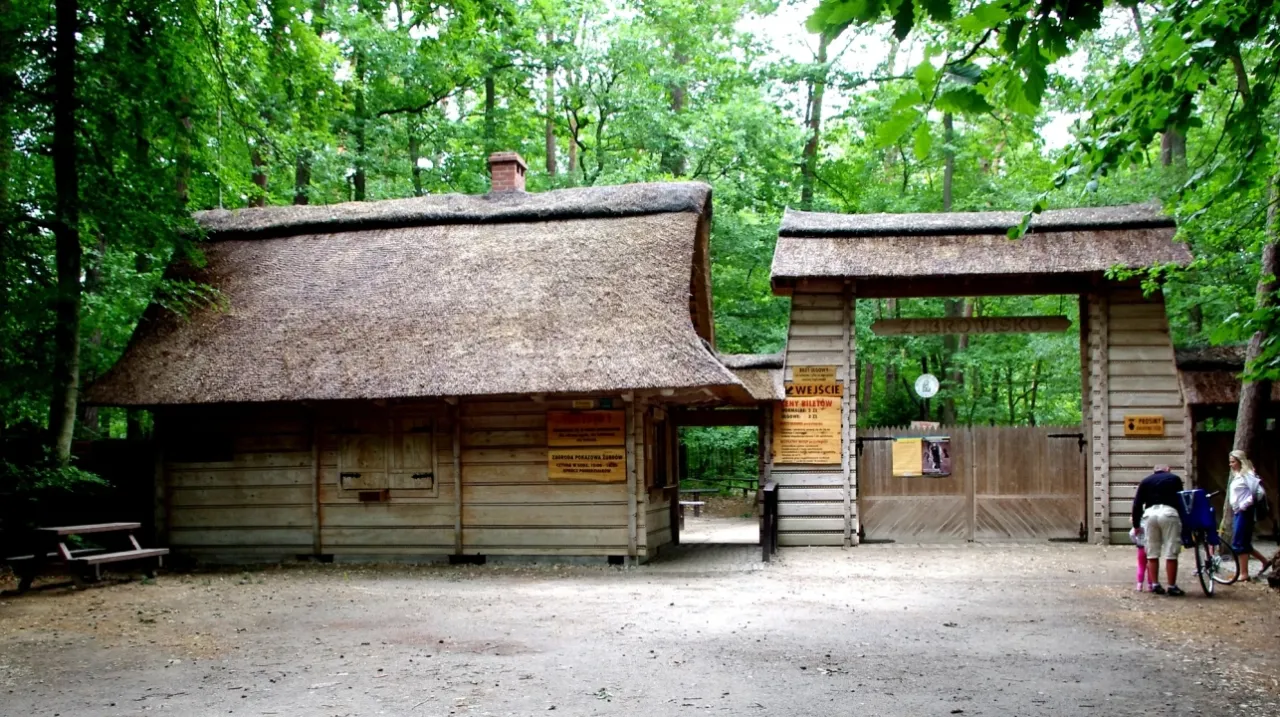 woliński park narodowy żubry