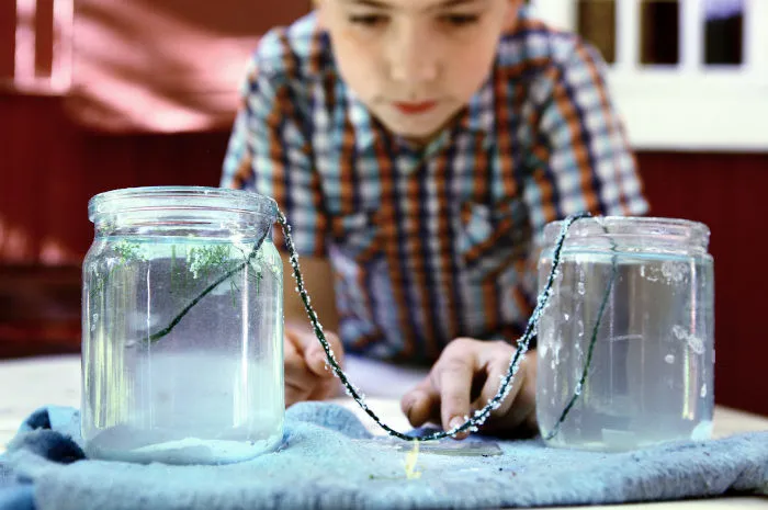 dzieci hodują kryształy soli