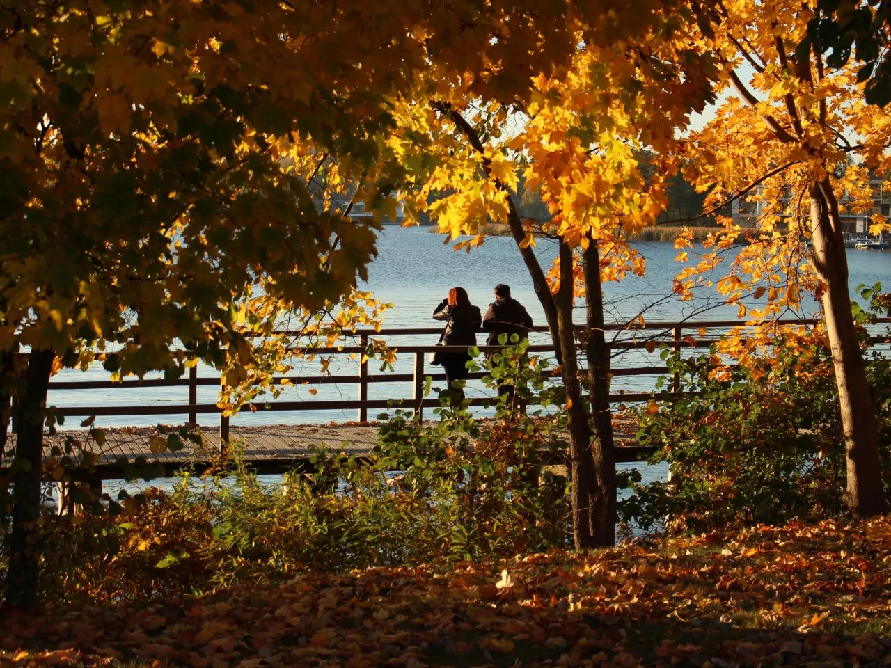 listopad podr&oacute;że jesienne krajobrazy