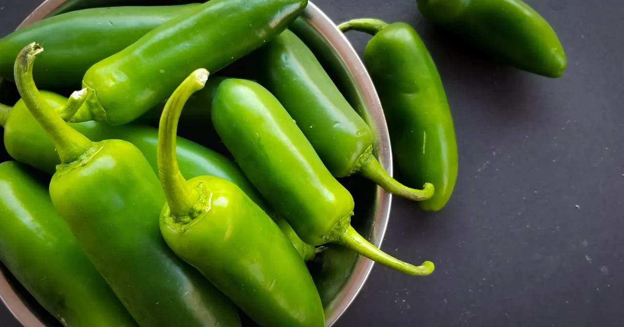 Garnek pełen zielonych papryczek jalapeno. Czy jalapeno jest zdrowe? Tak, jest bogate w witaminy i antyoksydanty.