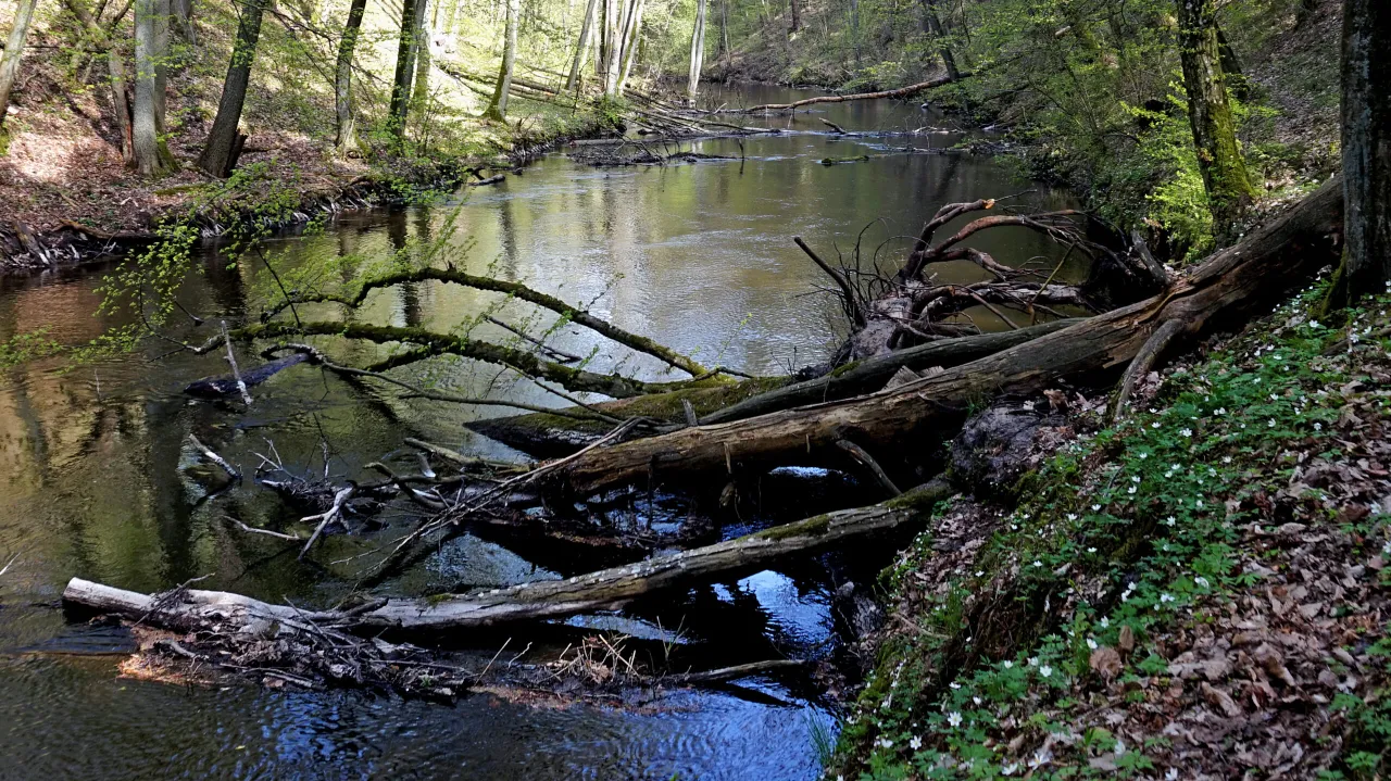 Welski Park Krajobrazowy krajobraz rzeka Wel