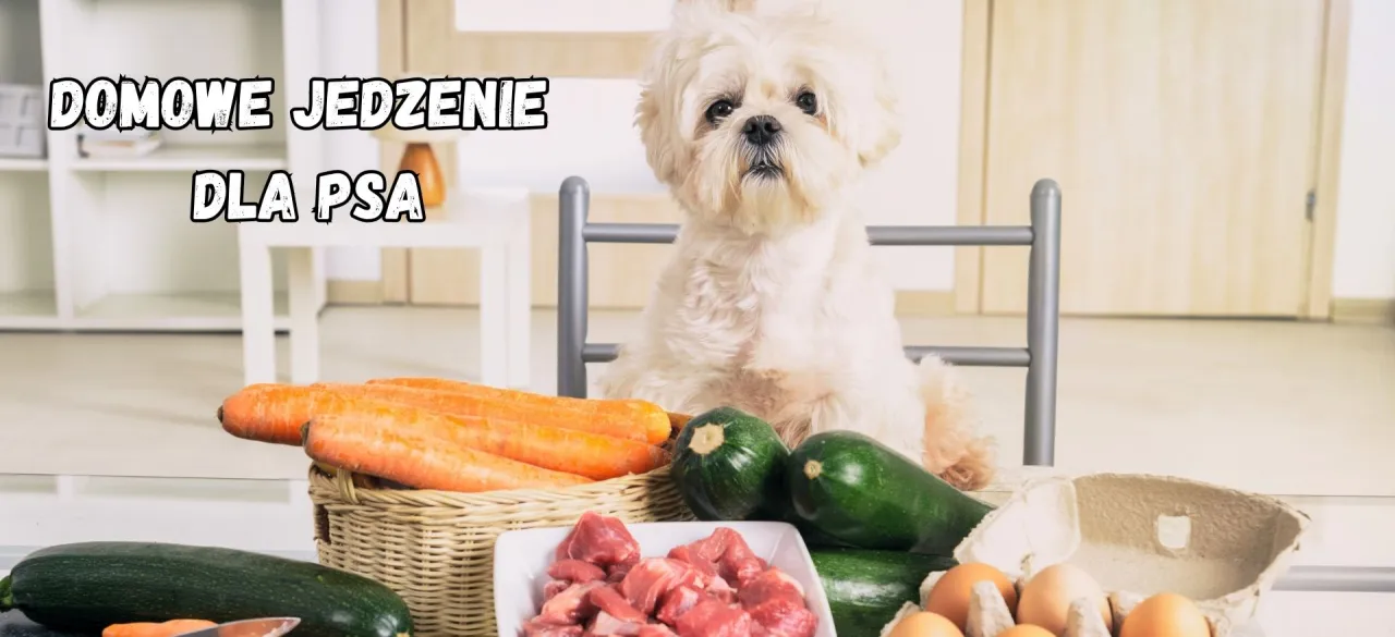 Czasy gotowania mięsa dla psa tabela