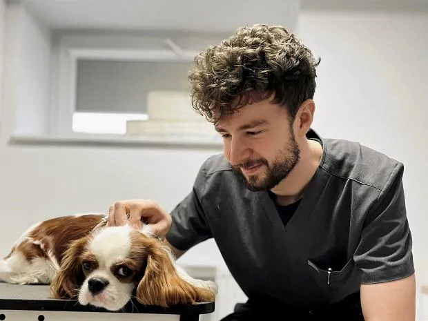 Weterynarz z psem, empatia, pożegnanie zwierzęcia