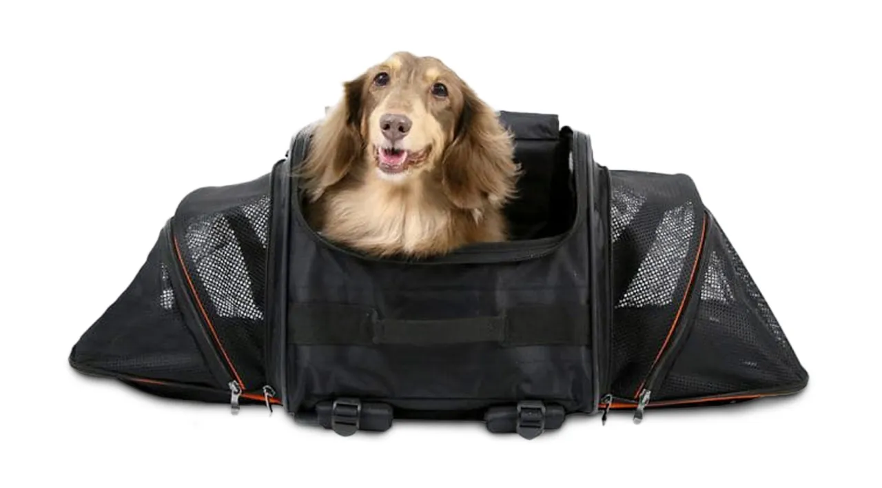 rodzaje plecak&oacute;w transporter&oacute;w dla psa por&oacute;wnanie