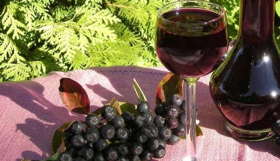 kieliszek nalewki z aronii