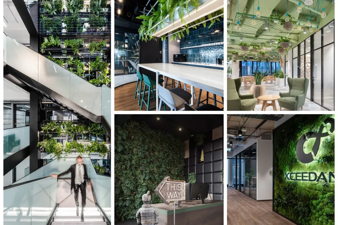 Biophilic design w nowoczesnych biurach