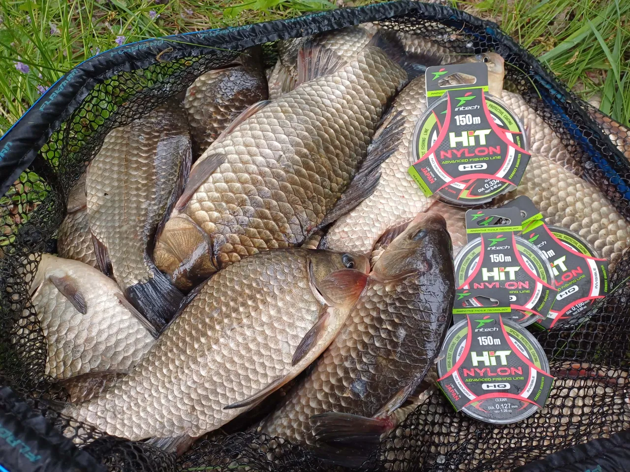 różne średnice żyłek wędkarskich porównanie