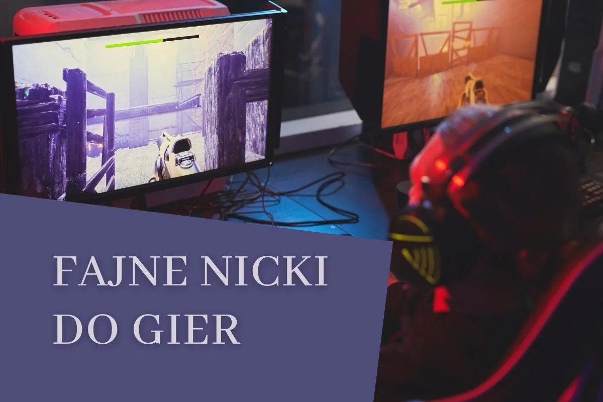 śmieszne i absurdalne nicki do gier przykłady